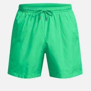 1250 NWT UA Icon Men's 5.5" Volley Shorts Vapor Green / White